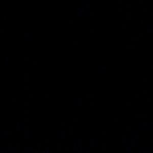 Meet your Posher, Dakota